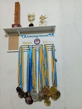 Поличка для медалей і нагород карате Олександр 50смх35см біла (Medalnutsa-0602-594) 0702Medalnitsa_karate_920_39 фото
