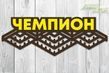 Медальниці без виду спорту
