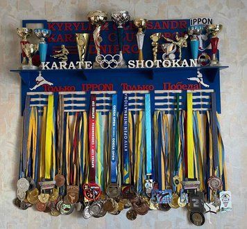 Підставка для медалей карате індивідуальна 50смх35см синя (Medalnutsa-0602-588) doub_0702Medalnitsa_karate_920_33 фото