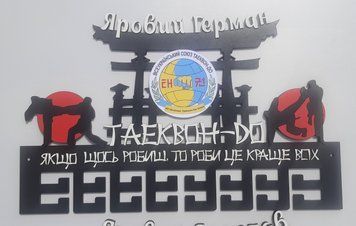 Підставка для медалей карате Герман 50смх35см чорно (Medalnutsa-0602-583) 0702Medalnitsa_karate_920_28 фото